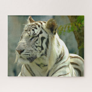Quebra-cabeça Tigre Branco para Cima Próximo