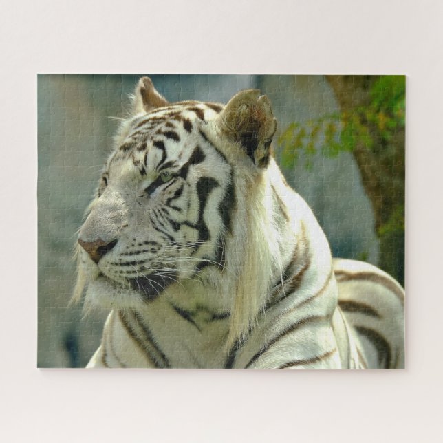 Quebra-cabeça Tigre Branco para Cima Próximo (Horizontal)