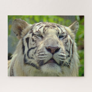Quebra-cabeça Tigre Branco para Cima Próximo #2