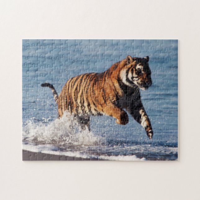 Quebra-cabeça Tigre-de-bengala (Panthera Tigris) (Horizontal)