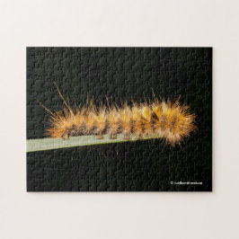 Quebra-cabeça Tigre-De-Prata-Tigre-Moth/Lagarto-Colar