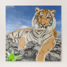Tigre de Reclinação