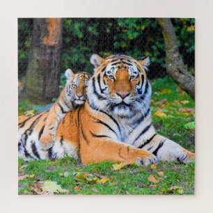 Quebra-cabeça Tigre e Bebê se apresentando bem em grama juntos