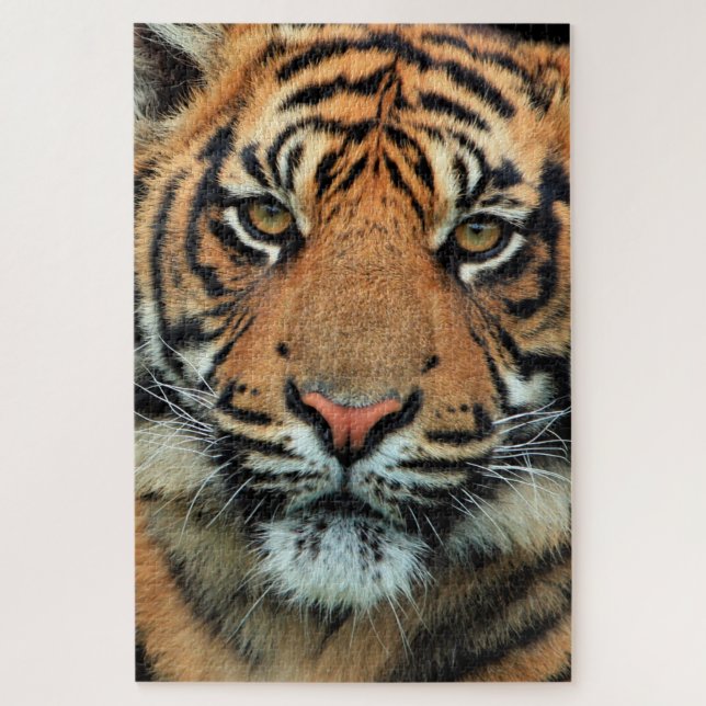 Quebra-cabeça Tigre - Face - (Vertical)