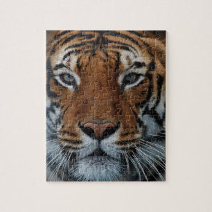 Quebra-cabeça Tigre Gato Stripes Selvagem