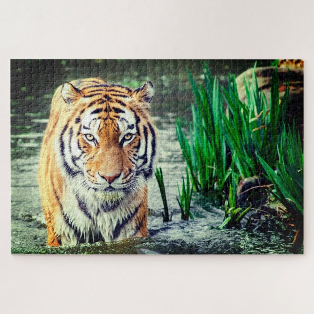 Quebra-cabeça Tigre na Água (Horizontal)