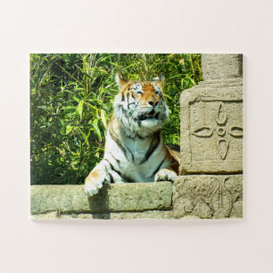 Quebra-cabeça Tigre no templo