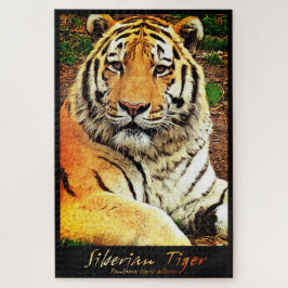 Quebra-cabeça Tigre Siberiano