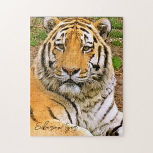 Quebra-cabeça Tigre Siberiano