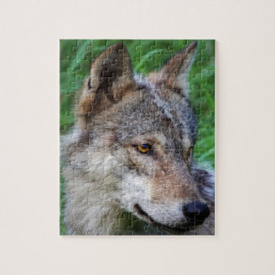 Quebra-cabeça Timber Wolf
