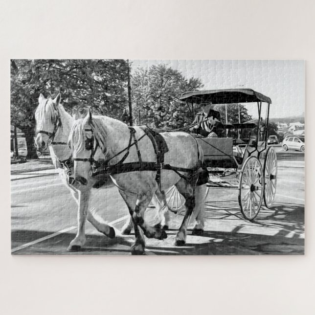 Quebra-cabeça Timeless Journey (Horizontal)