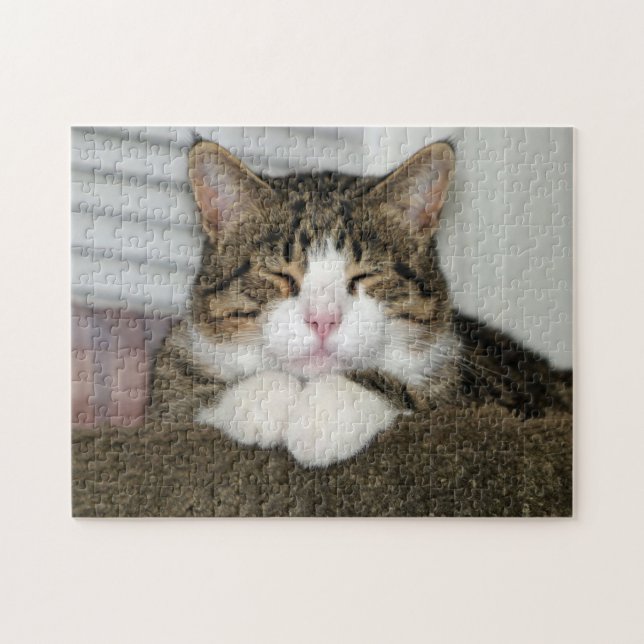 QUEBRA-CABEÇA TJ (Horizontal)