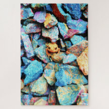 Toad Laranja Cercado por Rochas Coloridas