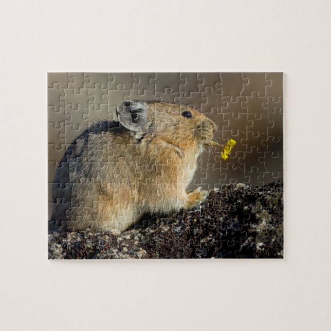 Quebra-cabeça Tocando trombeta o nascer do sol (Horizontal)