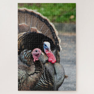 Quebra-cabeça Tom the Turkey and his hen 1000 piece puzzle game
