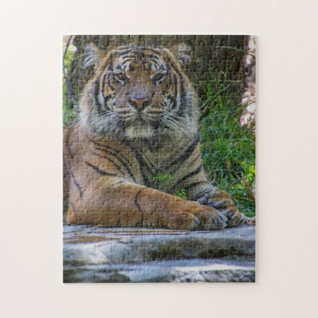 Quebra-cabeça Tony (Vertical)