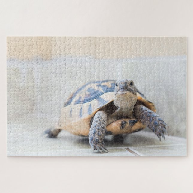 Quebra-cabeça Tortoise (Horizontal)