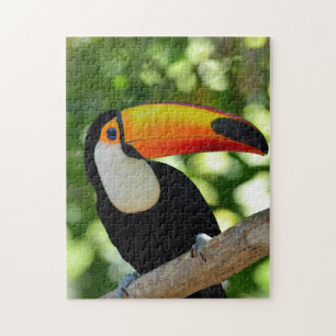 Quebra-cabeça Toucan