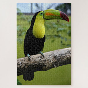 Quebra-cabeça Toucan preto e verde na ramificação da árvore