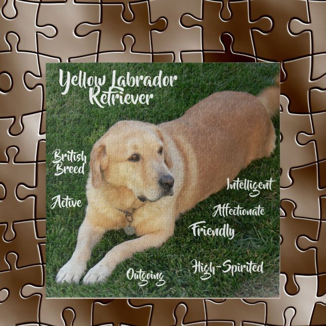Quebra-cabeça Traços do Yellow Labrador Retriever Jogo (Criador carregado)