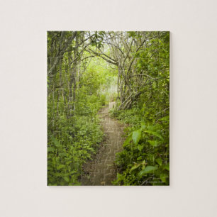 Quebra-cabeça Trajeto através da floresta