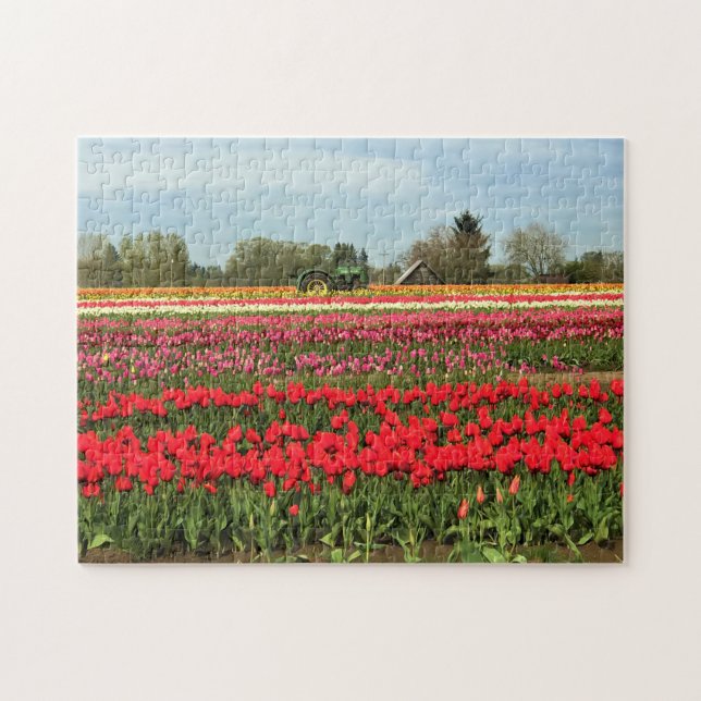 Quebra-cabeça Trator Verde em Tulip Field, Oregon (Horizontal)