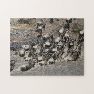 Quebra-cabeça travessia de gnus