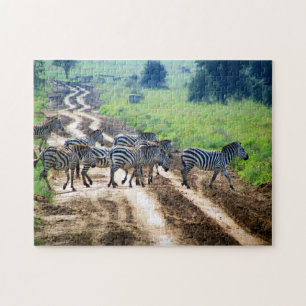Quebra-cabeça travessia de zebra