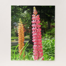 Quebra-cabeça Tremoços num Jardim de Algodão - Vinha de Martha