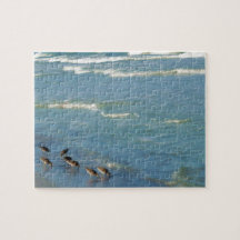Trendy Florida Shorebird Ocean Waves Foto
