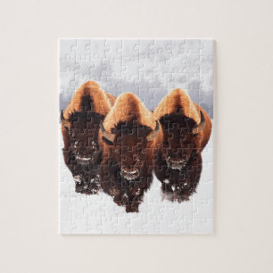 Quebra-cabeça Três Bison