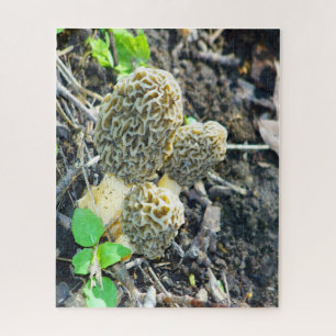 Quebra-cabeça Três Cinzas Cogumelos Morel Sentados na Floresta