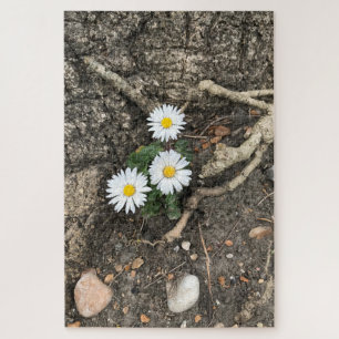 Quebra-cabeça Três Daisies perfeitos contra um tronco de árvore