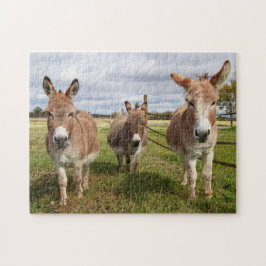 Quebra-cabeça Três Donkey