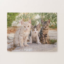 Quebra-cabeça Três gatinhos bonitinhos se sentam amigáveis junto