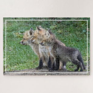 Quebra-cabeça Três Kits Fox