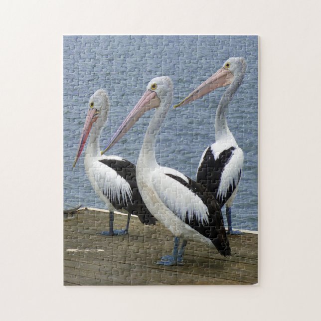 Quebra-cabeça Três Pelicanos em um Encaixe de Foto de Cais (Vertical)