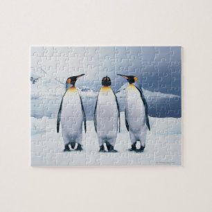 Quebra-cabeça Três rei pinguins