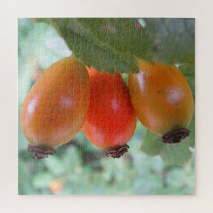 Quebra-cabeça Três roseiras laranja