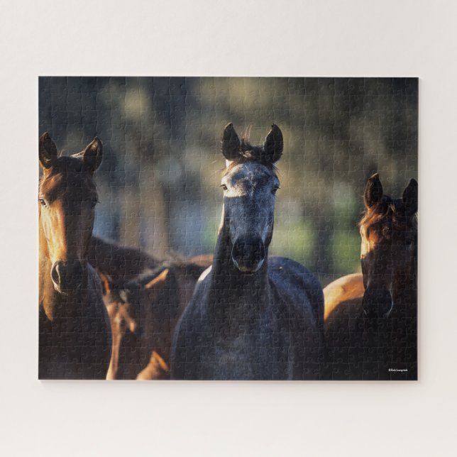 Quebra-cabeça Três Warmbloods juntos com iluminação traseira (Horizontal)