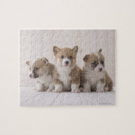Quebra-cabeça Três Welsh Corgi