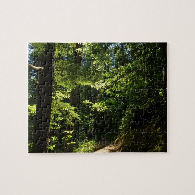 Quebra-cabeça Trilha de Silver Falls (Horizontal)