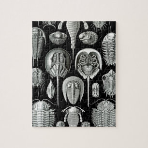 Quebra-cabeça Trilobites e fósseis em preto e branco