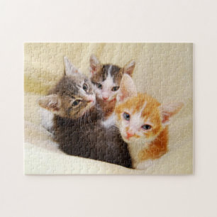 Quebra-cabeça Trio de Kitten