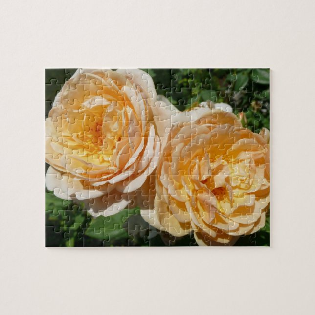 Quebra-cabeça Trio de Rosas de pêssego Floral (Horizontal)