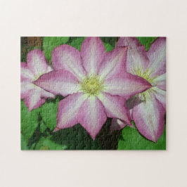 Quebra-cabeça Trio de Vinha-Primavera branca e rosa-clematis