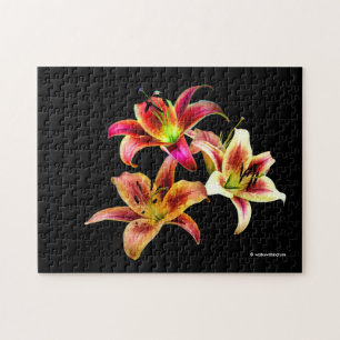 Quebra-cabeça Trio Elegante de Dias Amarelos Rosa