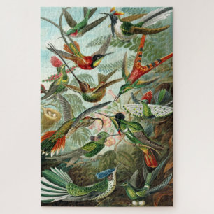 Quebra-cabeça Trochilidae-Kolibris de Kunstformen der Nature