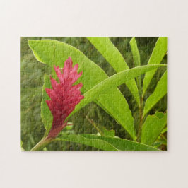 Quebra-cabeça Tropical de Flor Vermelho Ginger (Alpinia)