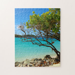 Quebra-cabeça tropical de St John USVI da baía d